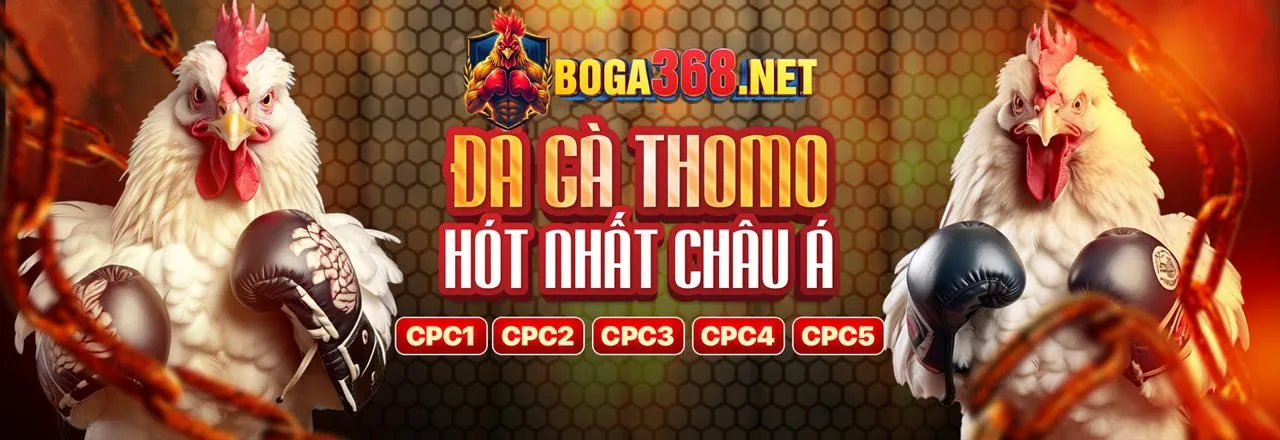 Sòng bạc trực tiếp sv666 nhà cái với người chia bài chuyên nghiệp